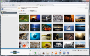 Picasa 3