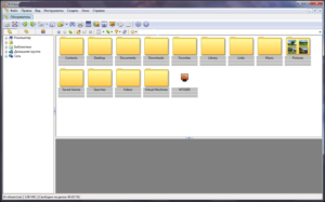 XnView
